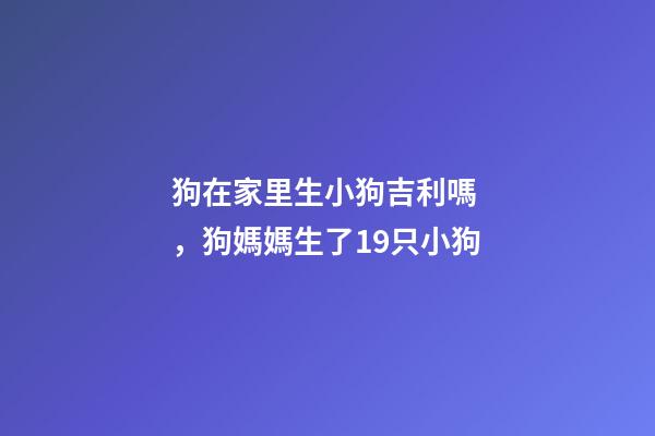 狗在家里生小狗吉利嗎，狗媽媽生了19只小狗-第1張-觀點(diǎn)-玄機(jī)派